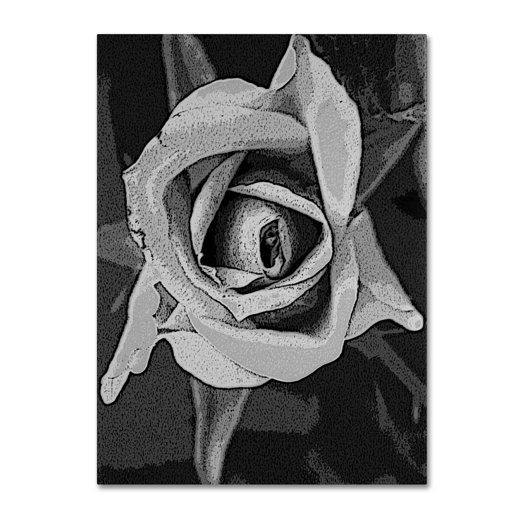 Patty Tuggle 'Black & White Rose' 14 X 19 Canvas Art