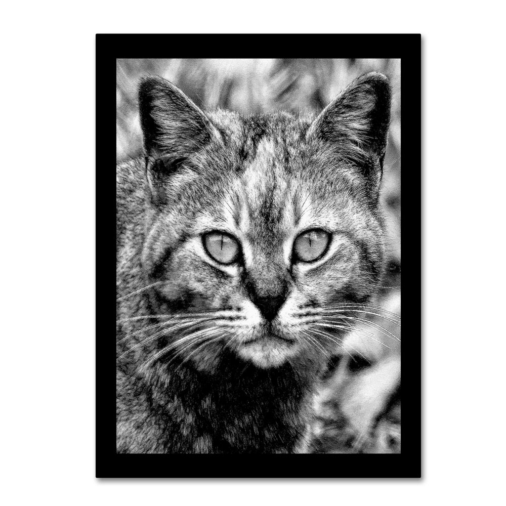 Patty Tuggle 'Black & White Pretty Kitty' 14 X 19 Canvas Art