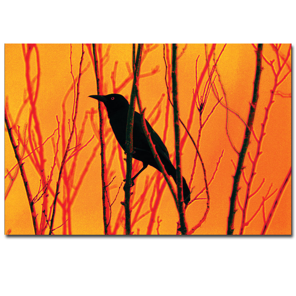 Patty Tuggle 'Blackbird Dreams' 14 X 19 Canvas Art