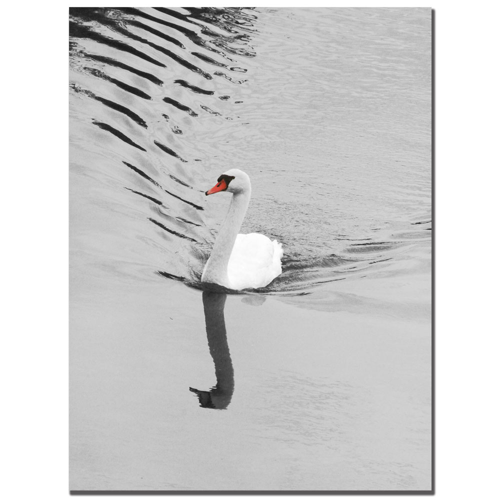 Patty Tuggle 'Swan' 14 X 19 Canvas Art