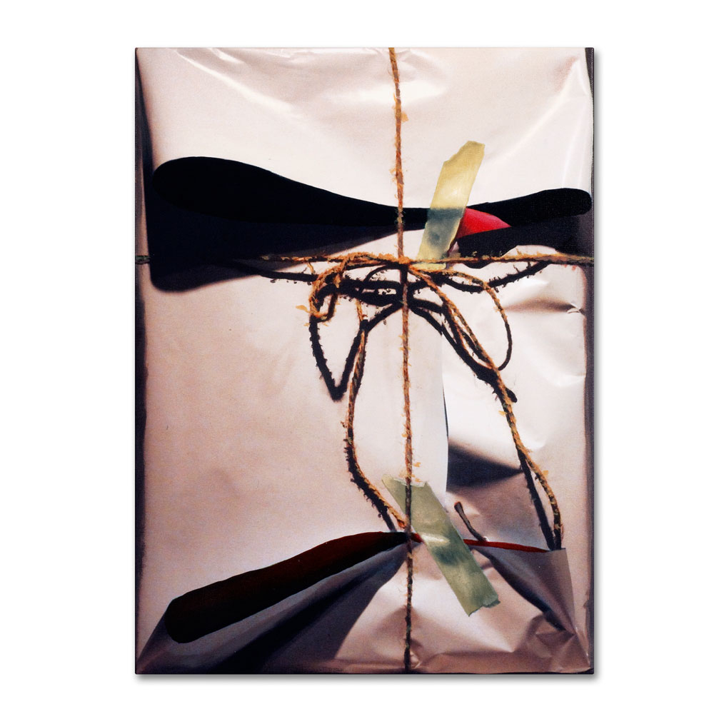 Roderick Stevens 'White Wrap With Twine' 14 X 19 Canvas Art