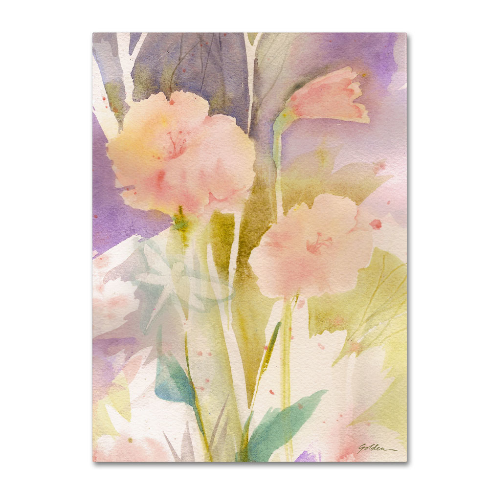 Sheila Golden 'Pink Dragonfly Shadows' 14 X 19 Canvas Art