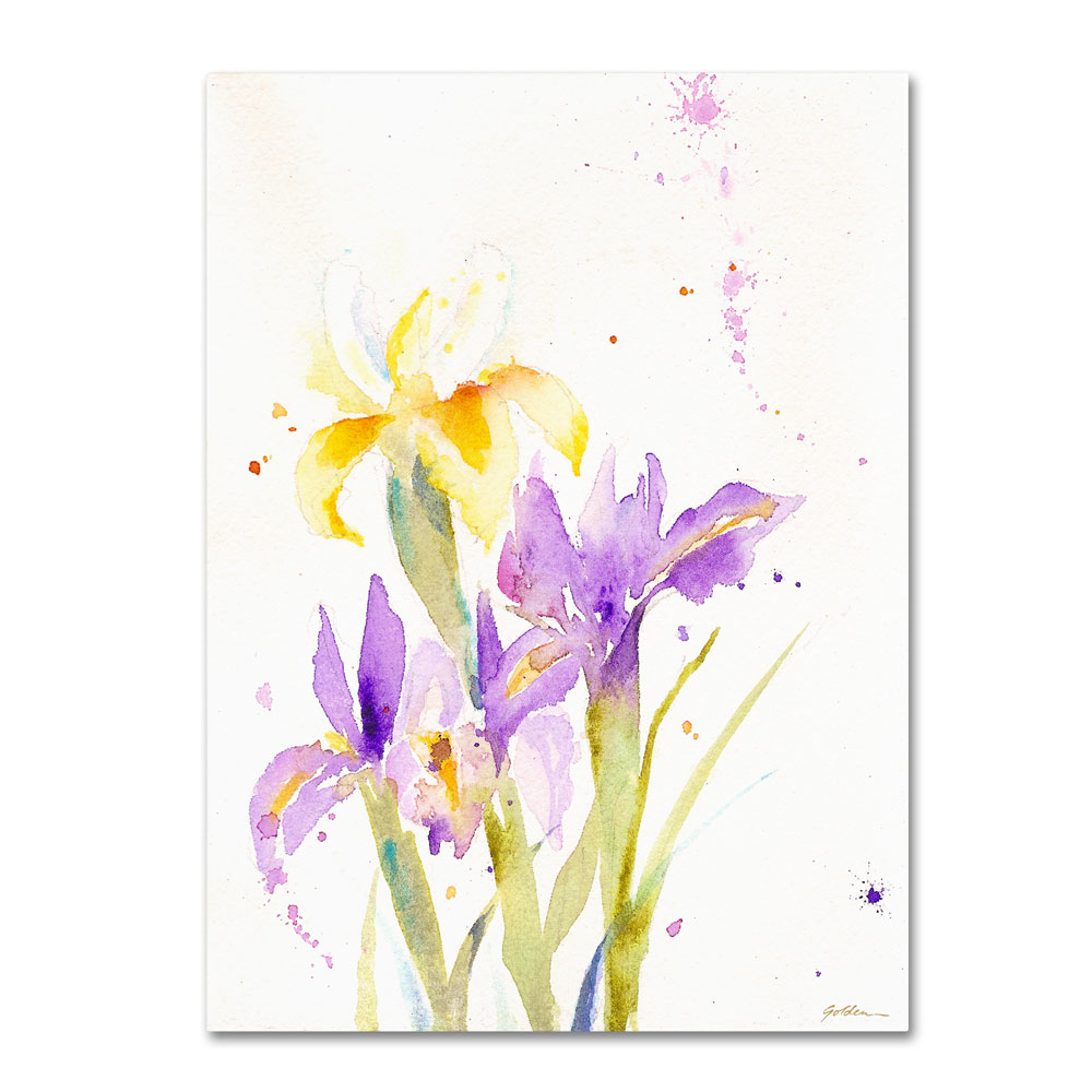 Sheila Golden 'The Golden Iris' 14 X 19 Canvas Art
