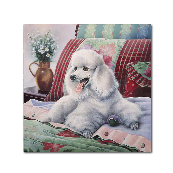 Jenny Newland 'White Poodle' Canvas Wall Art 14 X 14