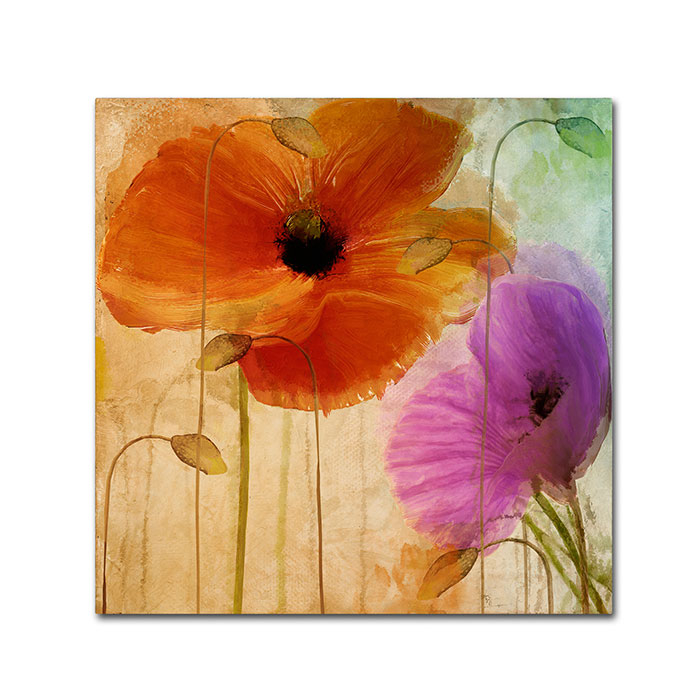 Color Bakery 'Penchant For Poppies II' Canvas Wall Art 14 X 14