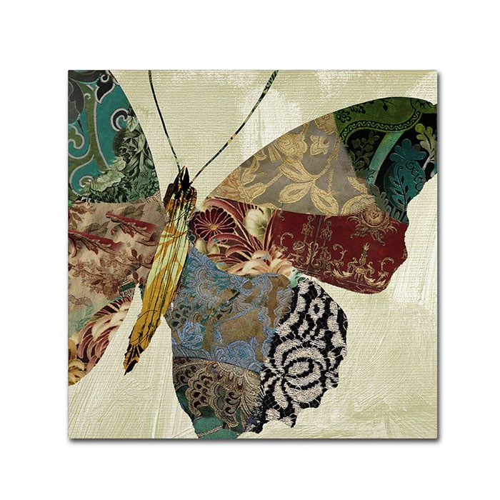 Color Bakery 'Butterfly Brocade II' Canvas Wall Art 14 X 14