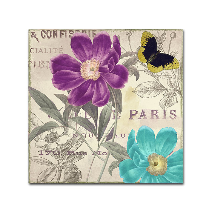 Color Bakery 'Petals Of Paris II' Canvas Wall Art 14 X 14