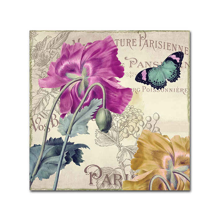 Color Bakery 'Petals Of Paris III' Canvas Wall Art 14 X 14