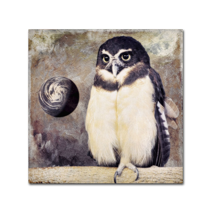 Color Bakery 'Moon Owl' Canvas Wall Art 14 X 14