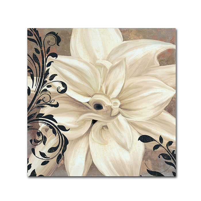 Color Bakery 'Winter White II' Canvas Wall Art 14 X 14