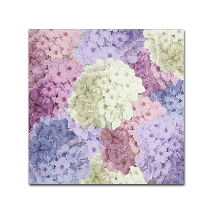 Color Bakery 'Hortensia Groundless Warm Tones' Canvas Wall Art 14 X 14