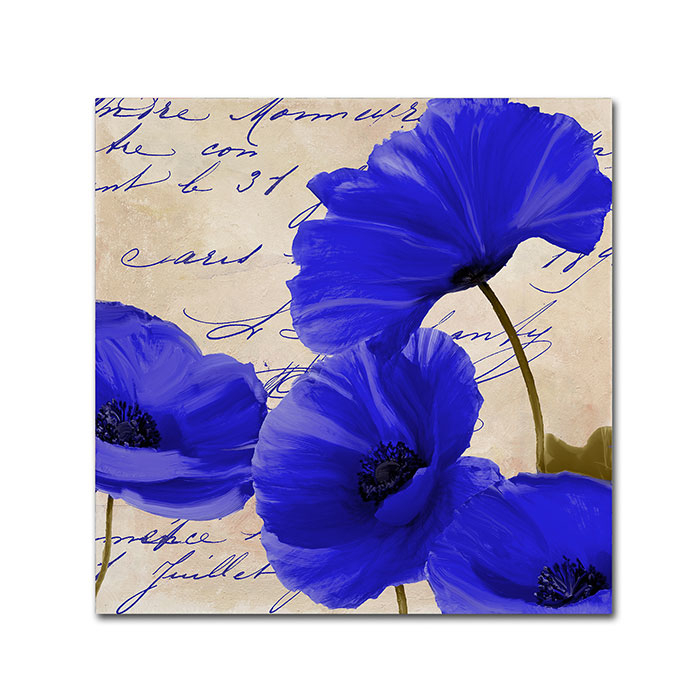 Color Bakery 'Coquelicots Bleues I' Canvas Wall Art 14 X 14