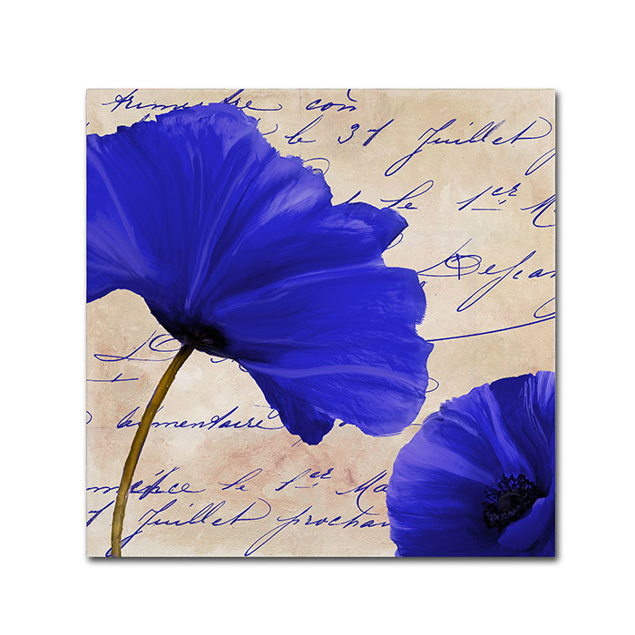 Color Bakery 'Coquelicots Bleues II' Canvas Wall Art 14 X 14