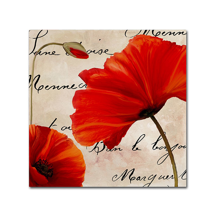 Color Bakery 'Coquelicots Rouge II' Canvas Wall Art 14 X 14