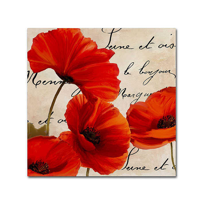 Color Bakery 'Coquelicots Rouge I' Canvas Wall Art 14 X 14