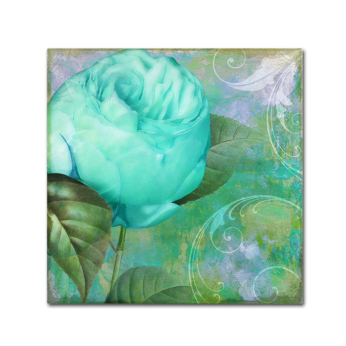 Color Bakery 'Aqua Rose I' Canvas Wall Art 14 X 14