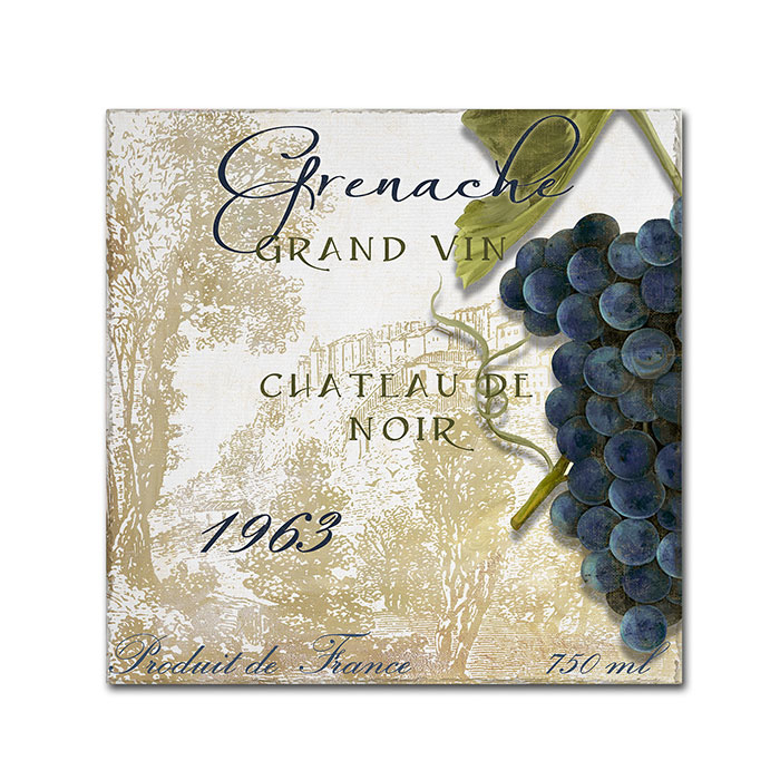 Color Bakery 'Grand Vin Grenache' Canvas Wall Art 14 X 14