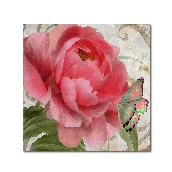 Color Bakery 'Apricot Peonies II' Canvas Wall Art 14 X 14