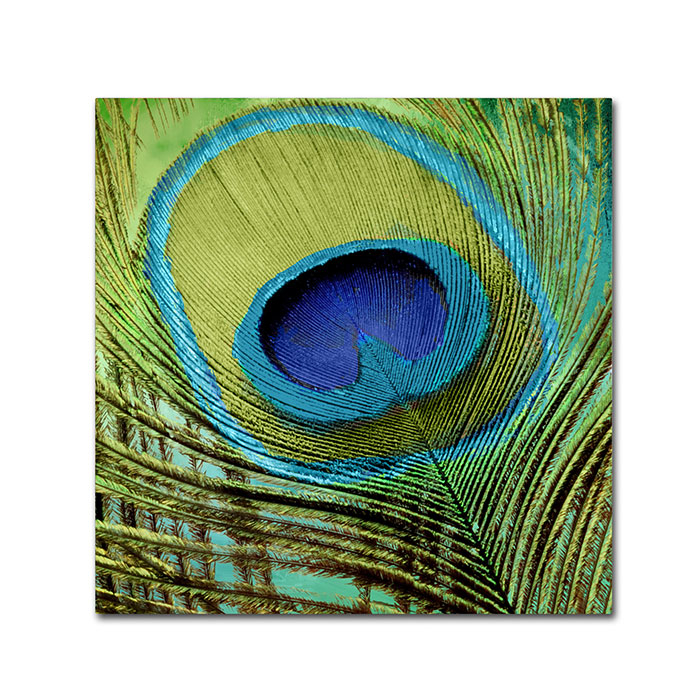 Color Bakery 'Peacock Candy V' Canvas Wall Art 14 X 14