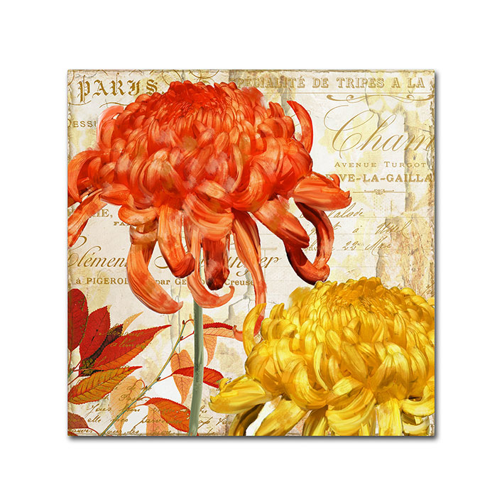 Color Bakery 'Chrysanthemums I' Canvas Wall Art 14 X 14
