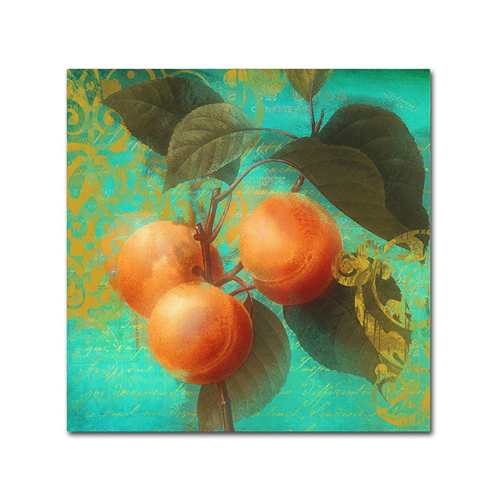 Color Bakery 'Glowing Fruits II' Canvas Wall Art 14 X 14