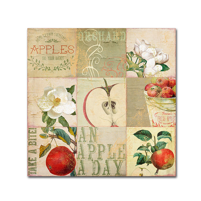 Color Bakery 'Apple Blossoms III' Canvas Wall Art 14 X 14