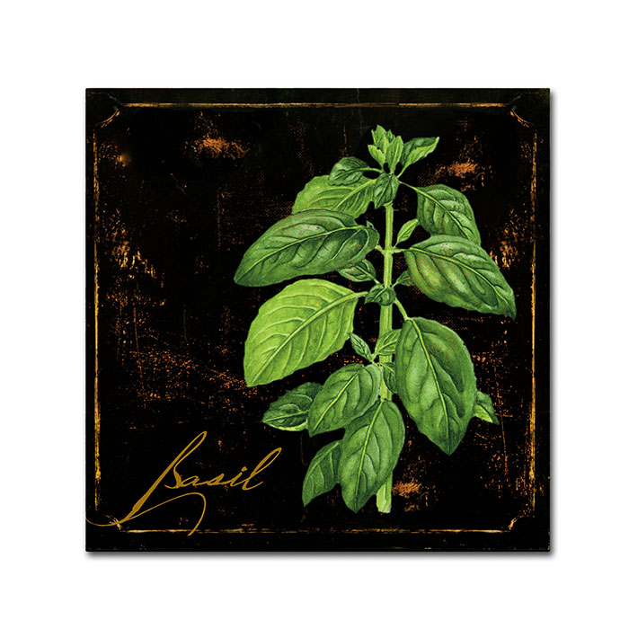 Color Bakery 'Black Gold Herbs IV' Canvas Wall Art 14 X 14