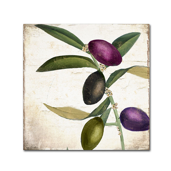 Color Bakery 'Olive Branch II' Canvas Wall Art 14 X 14