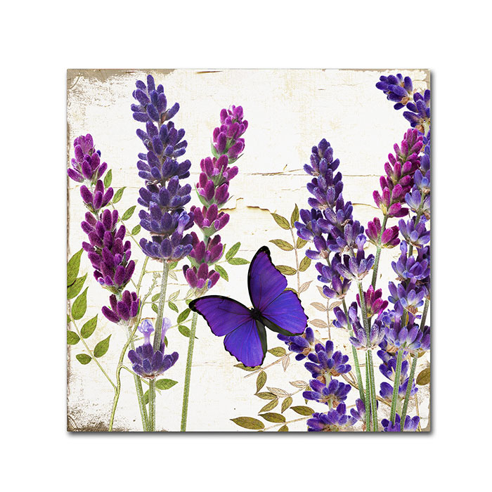 Color Bakery 'Lavender I' Canvas Wall Art 14 X 14