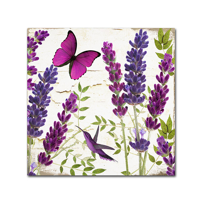 Color Bakery 'Lavender II' Canvas Wall Art 14 X 14