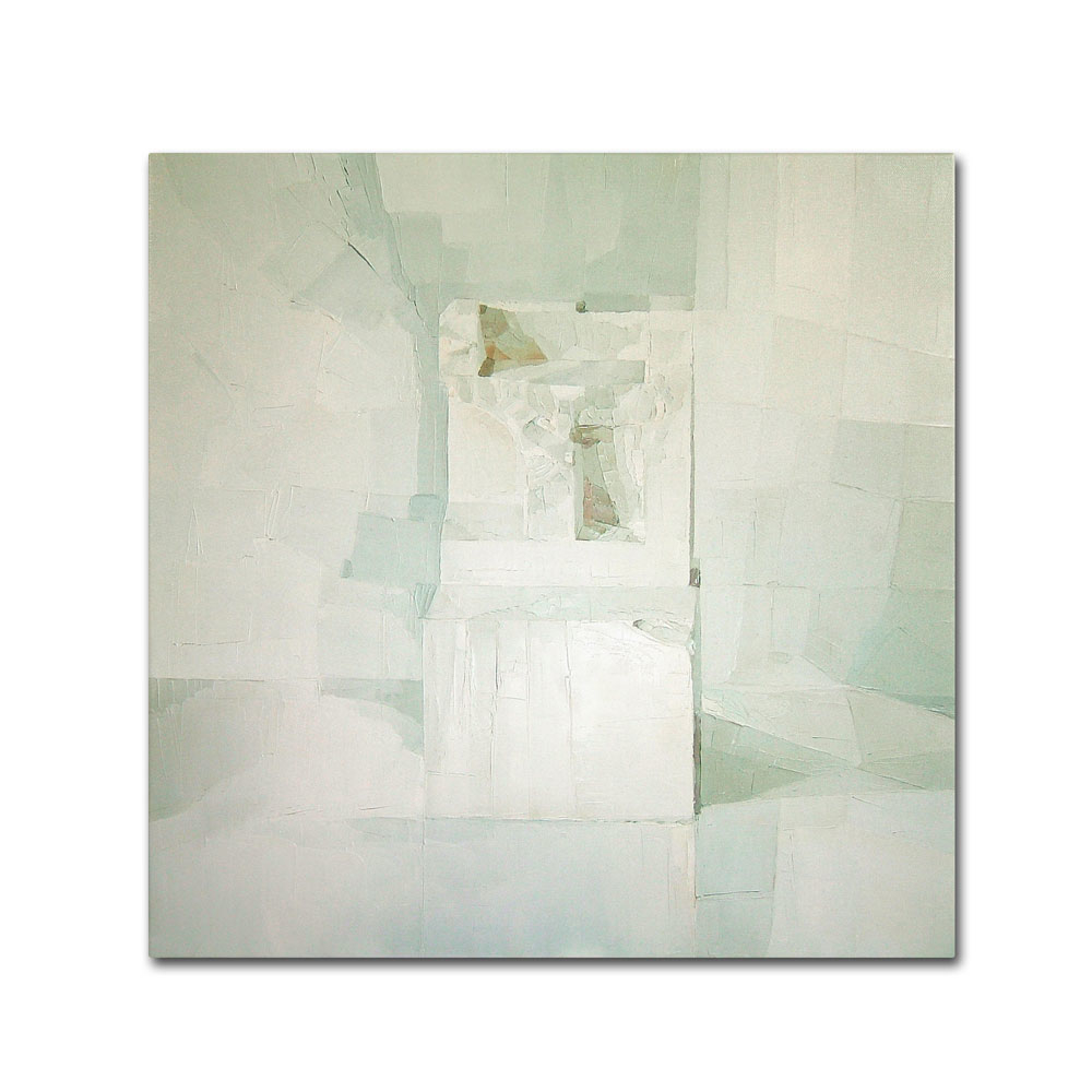 Daniel Cacouault 'White' Canvas Wall Art 14 X 14