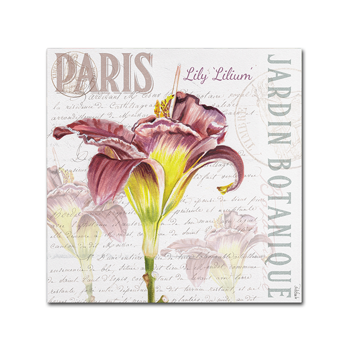 Jennifer Redstreake 'Paris Botanique Lily Burgundy' Canvas Wall Art 14 X 14