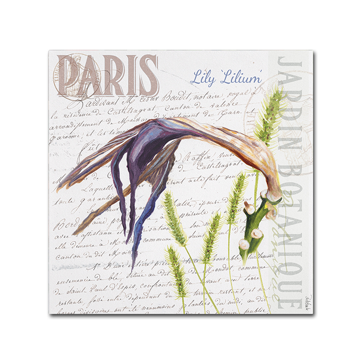 Jennifer Redstreake 'Paris Botanique Lily Purple' Canvas Wall Art 14 X 14