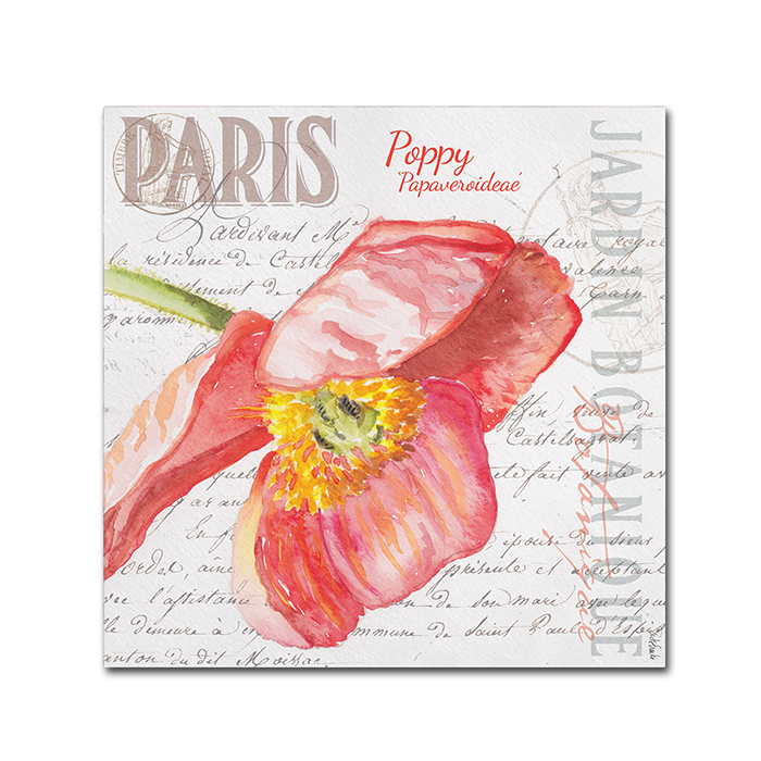 Jennifer Redstreake 'Paris Botanique Red Poppy' Canvas Wall Art 14 X 14