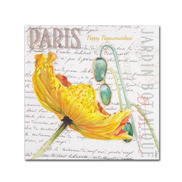 Jennifer Redstreake 'Paris Botanique Yellow Poppy' Canvas Wall Art 14 X 14
