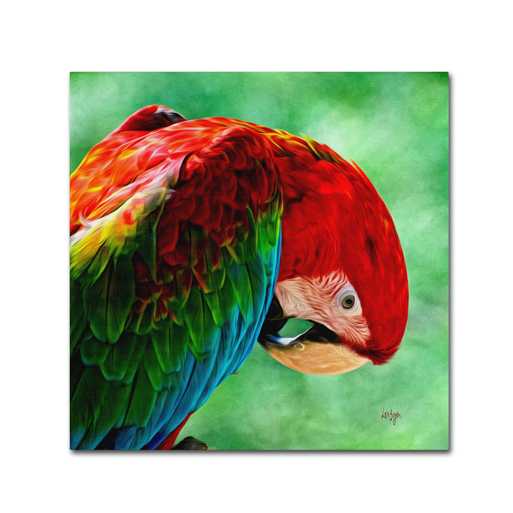 Lois Bryan 'Colorful Macaw Square Format' Canvas Wall Art 14 X 14