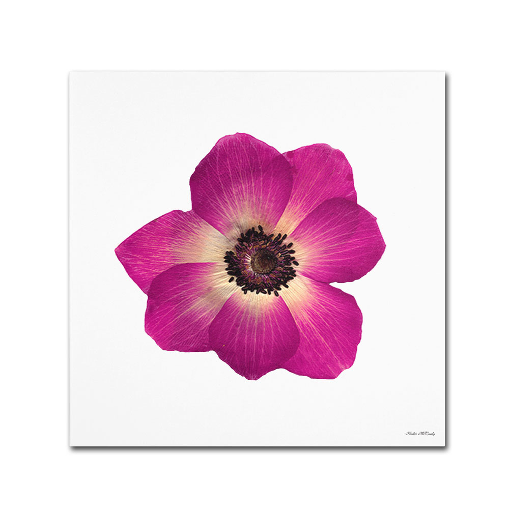 Kathie McCurdy 'Hot Pink Flower' Canvas Wall Art 14 X 14