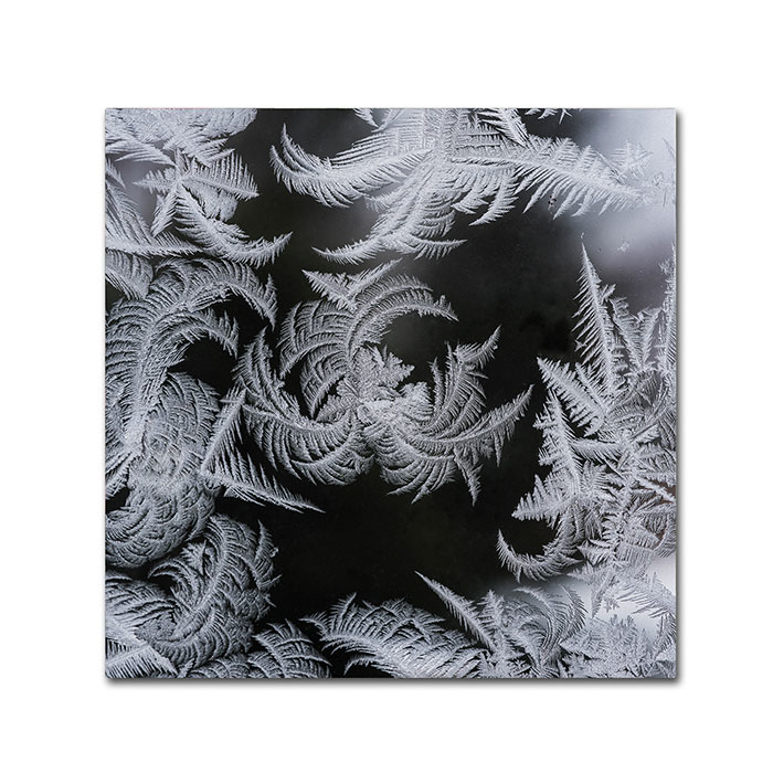Kurt Shaffer 'Window Frost Pattern 2' Canvas Wall Art 14 X 14