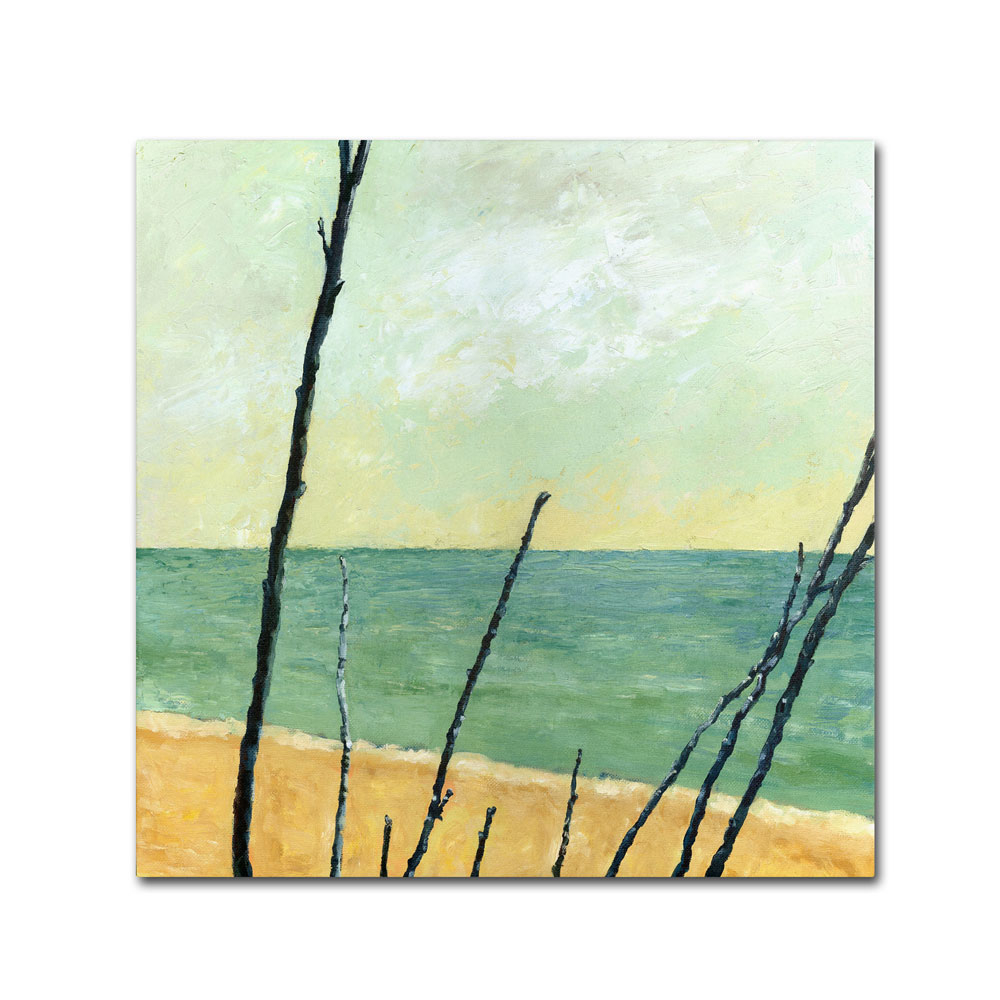 Michelle Calkins 'Branches On The Beach' Canvas Wall Art 14 X 14