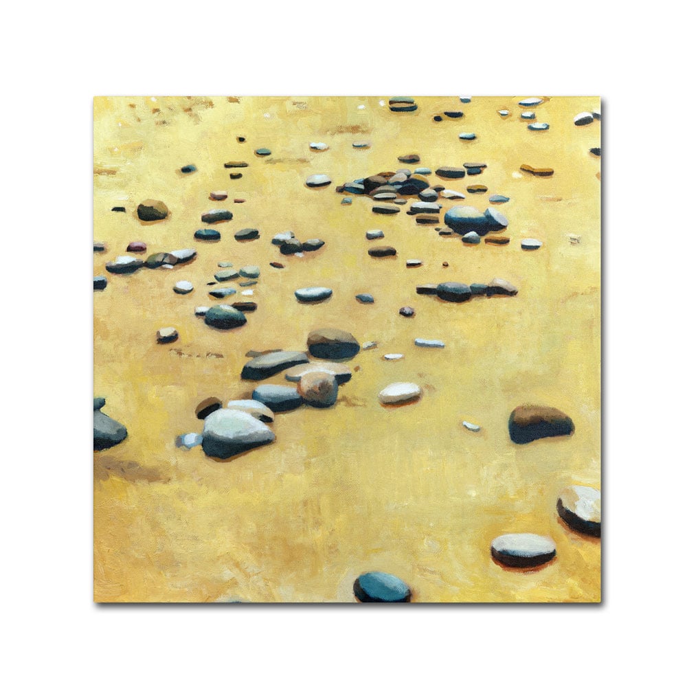 Michelle Calkins 'Pebbles On The Beach' Canvas Wall Art 14 X 14
