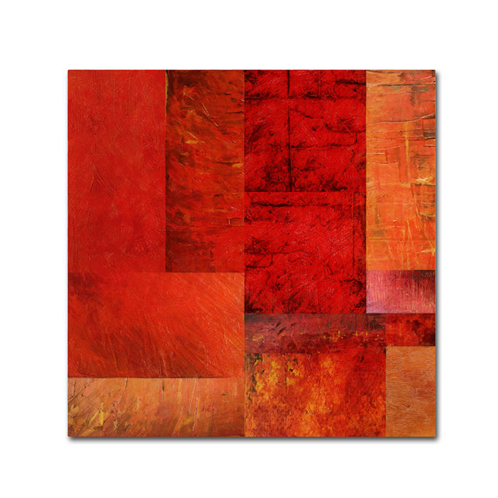 Michelle Calkins 'Essence Of Red' Canvas Wall Art 14 X 14