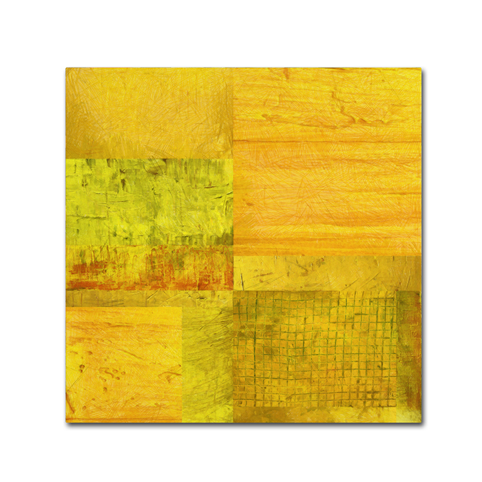Michelle Calkins 'Essence Of Yellow' Canvas Wall Art 14 X 14