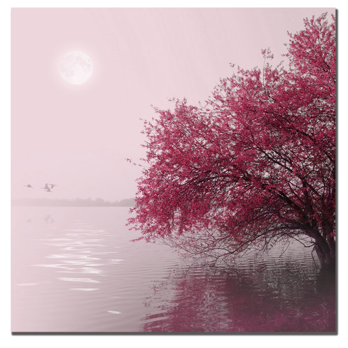 Philippe Sainte-Laudy 'Full Moon On The Lake' Canvas Wall Art 14 X 14