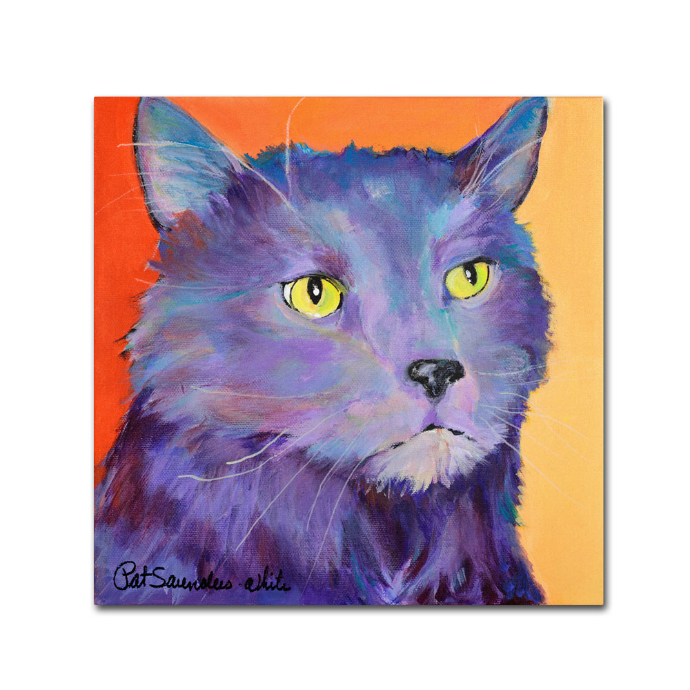 Pat Saunders-White 'Frenchy' Canvas Wall Art 14 X 14