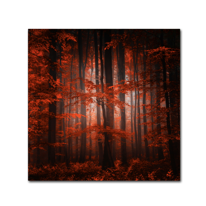 Philippe Sainte-Laudy 'Red Parallel Universe' Canvas Wall Art 14 X 14