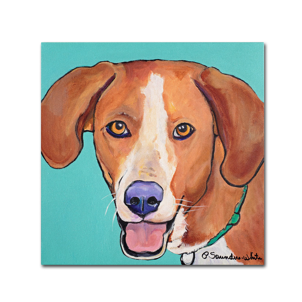 Pat Saunders-White 'Sophie' Canvas Wall Art 14 X 14
