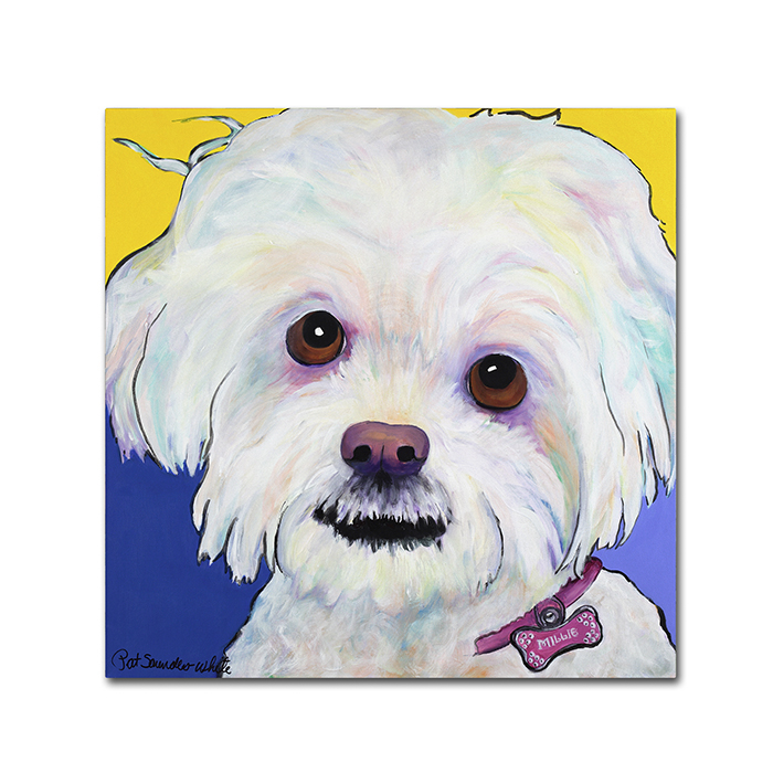 Pat Saunders-White 'Lucy' Canvas Wall Art 14 X 14