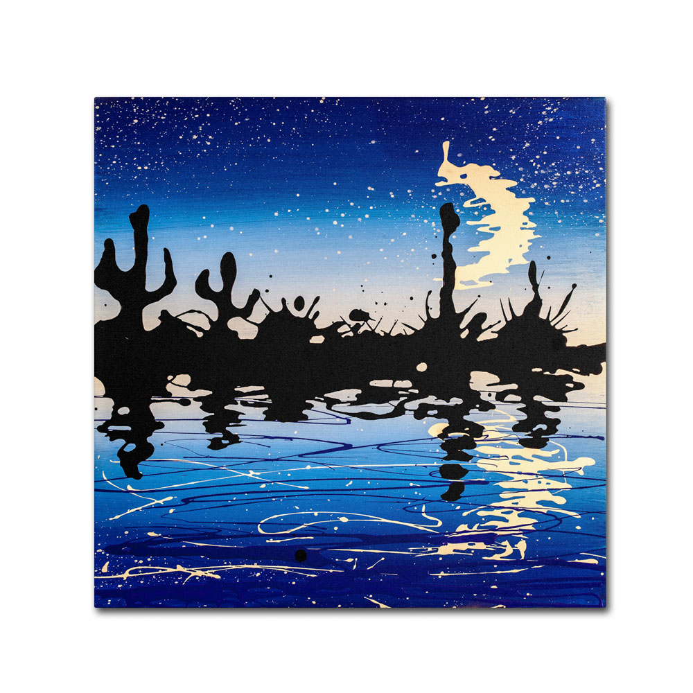 Roderick Stevens 'Desert Crescent Moon Lake' Canvas Wall Art 14 X 14