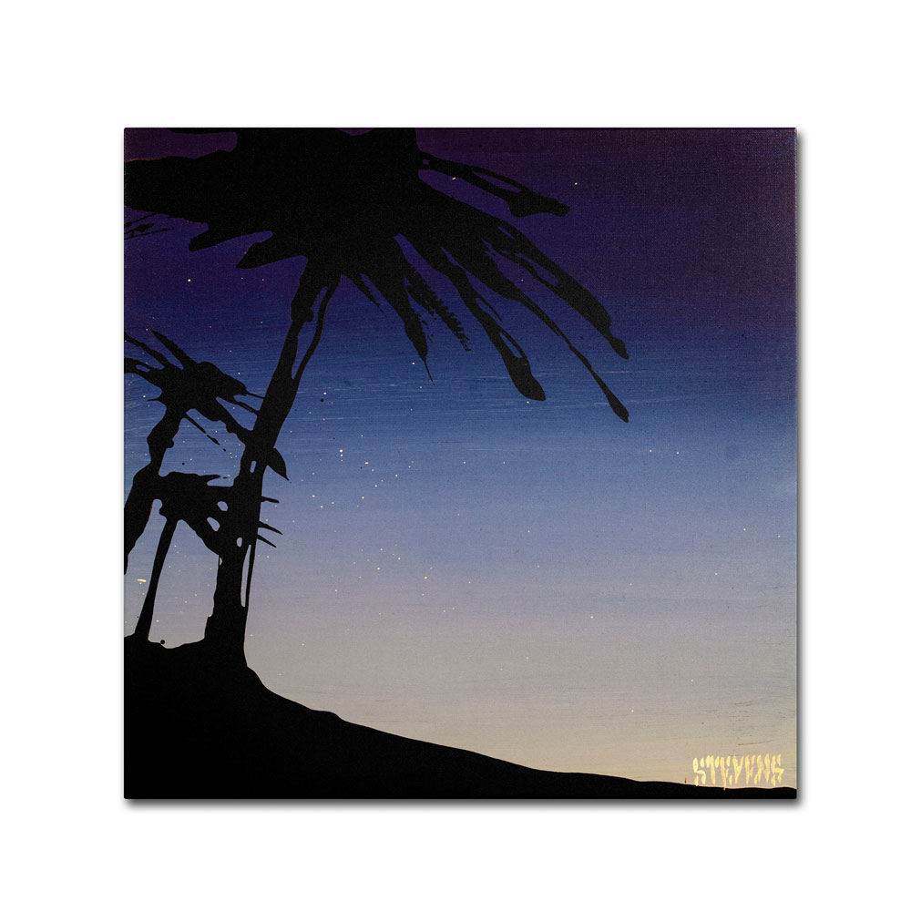 Roderick Stevens 'Evening Palms' Canvas Wall Art 14 X 14