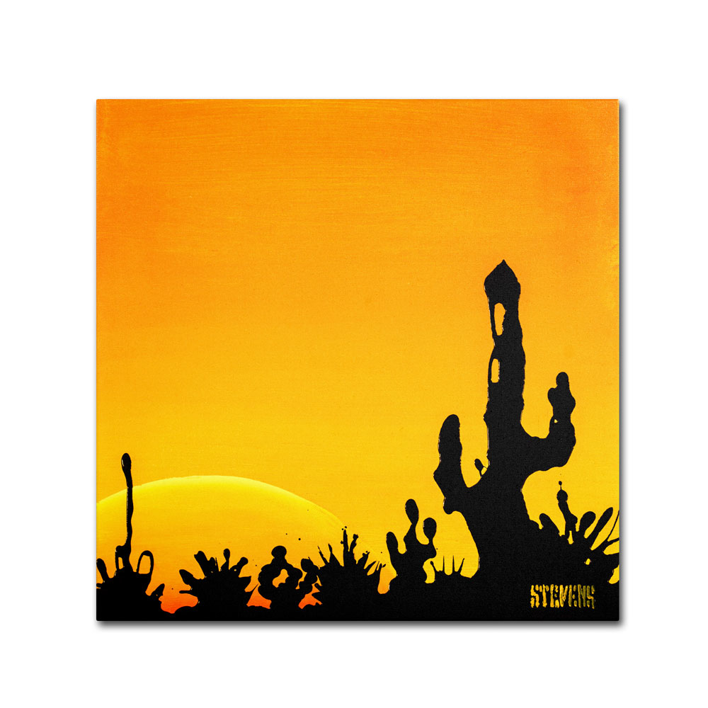 Roderick Stevens 'Saguaro Sunset' Canvas Wall Art 14 X 14